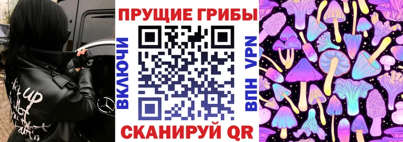 где продают   Белая Калитва  Галлюциногенные грибы Psilocybe 